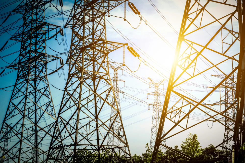 MS Enertech especialistas en asesoramiento en trabajos de campo y en proyectos de energías renovables