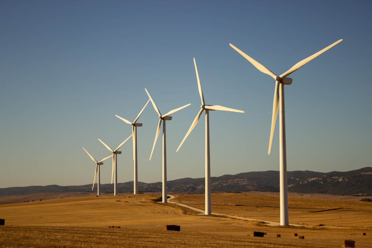 MS Enertech referente energía eólica